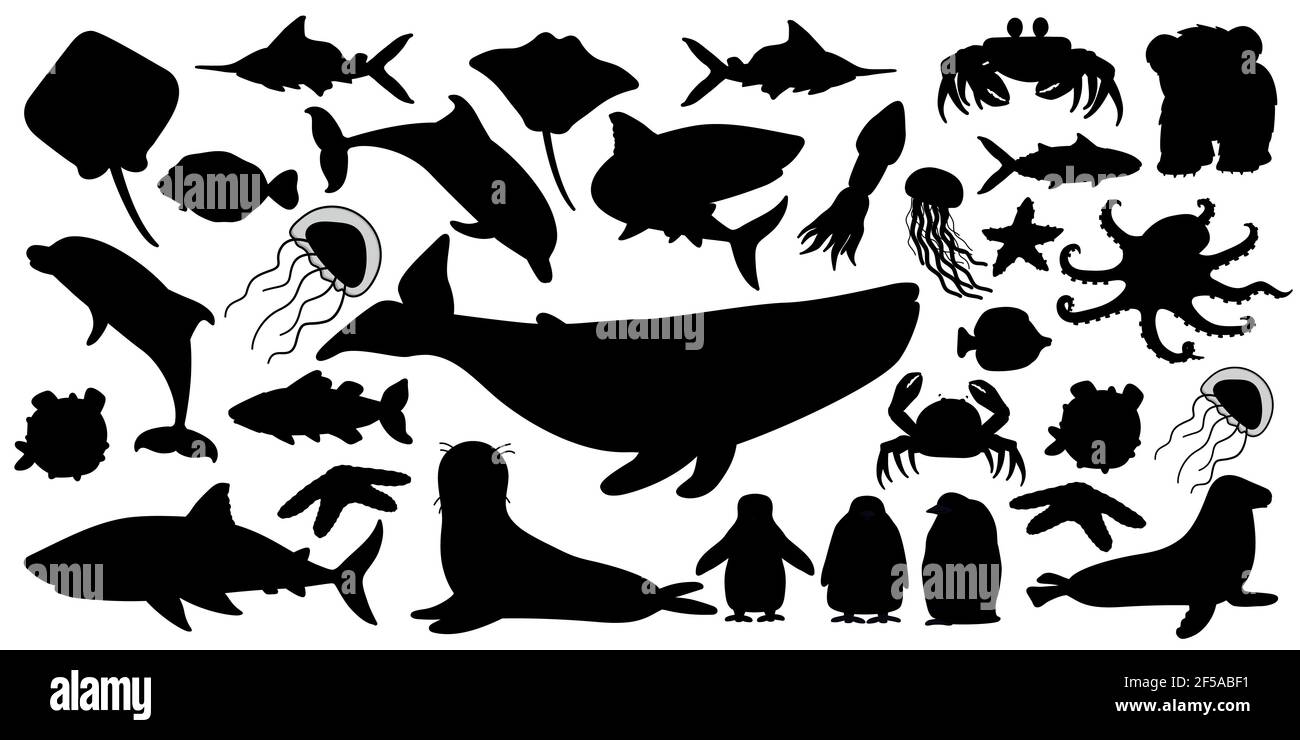 Big set of vector silhouette cartoon isolated sea ocean north animals.  Whale, dolphin, shark, stingray, jellyfish, fish, stars, crab, king Penguin  chi Stock Vector Image & Art - Alamy