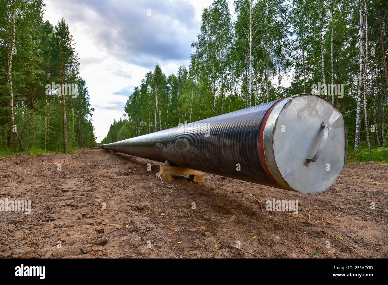 Natural gas pipeline construction work in forest area. Installation of ...
