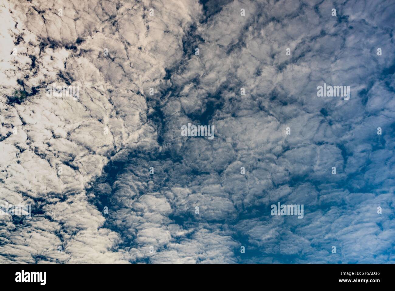 Altocumulus cloud Stock Photo