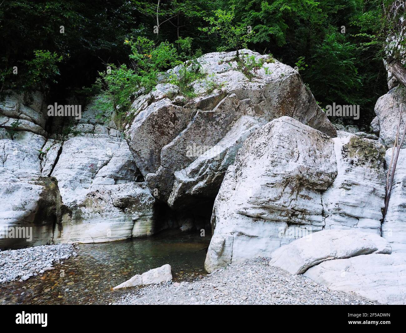 A shallow river flows under white rocks overgrown with dense green ...