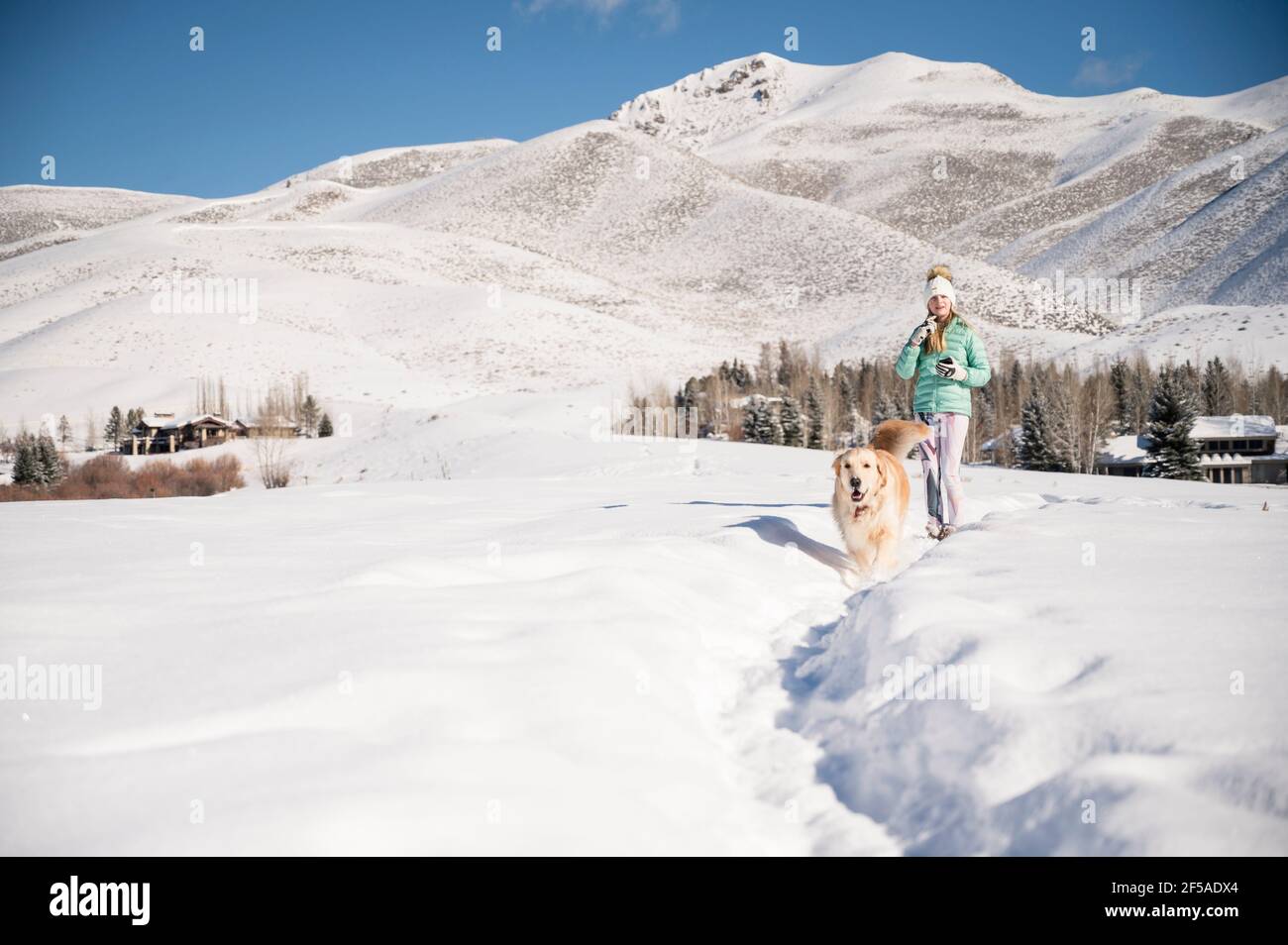 Teen girl walking dog hi-res stock photography and images - Alamy