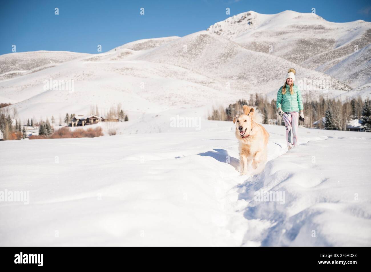 Teen girl walking dog hi-res stock photography and images - Alamy