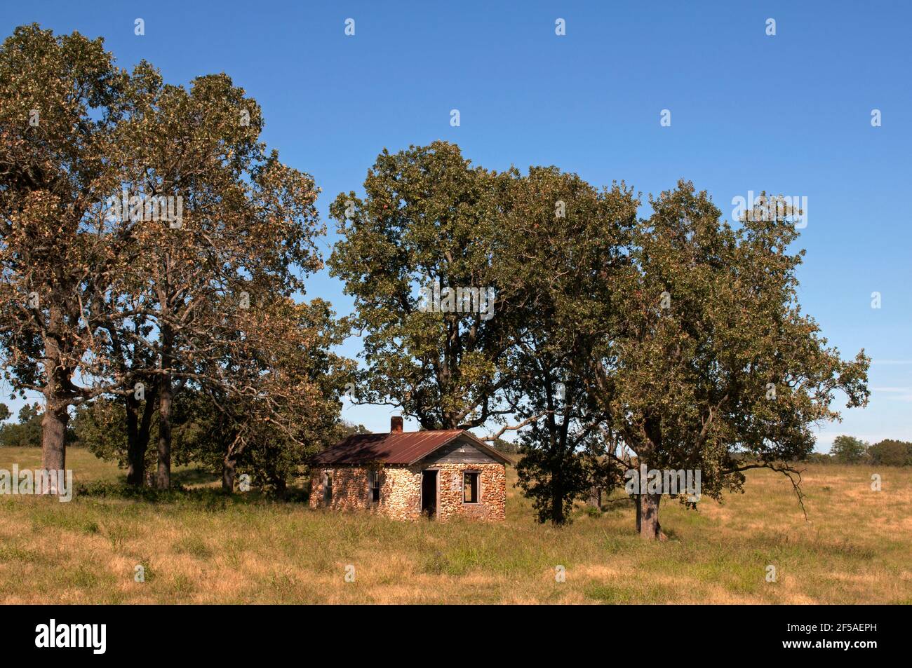 An abandoned stone farmhouse sits under trees in a field near the Route 66 community of Halltown, Missouri. Stock Photo
