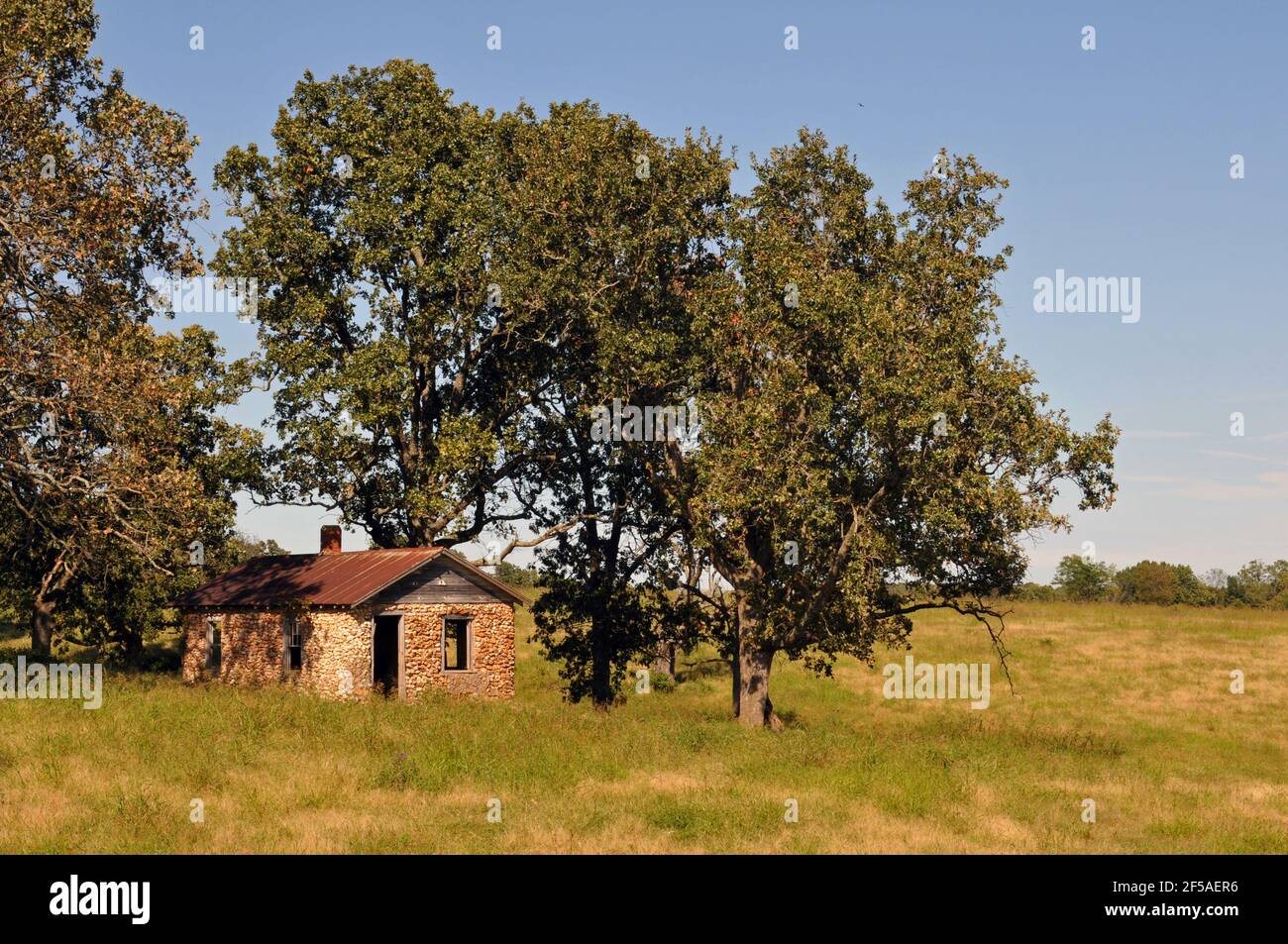 An abandoned stone farmhouse sits under trees in a field near the Route 66 community of Halltown, Missouri. Stock Photo