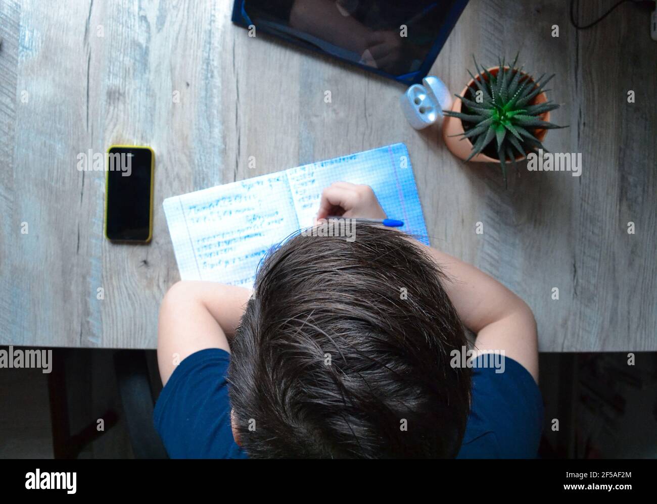 boy doing his lessons at home Stock Photo