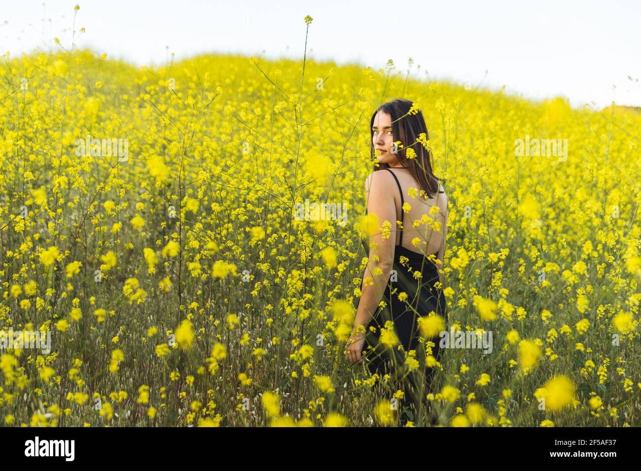 Young female adult looking back at camera in yellow wildflower field Stock Photo