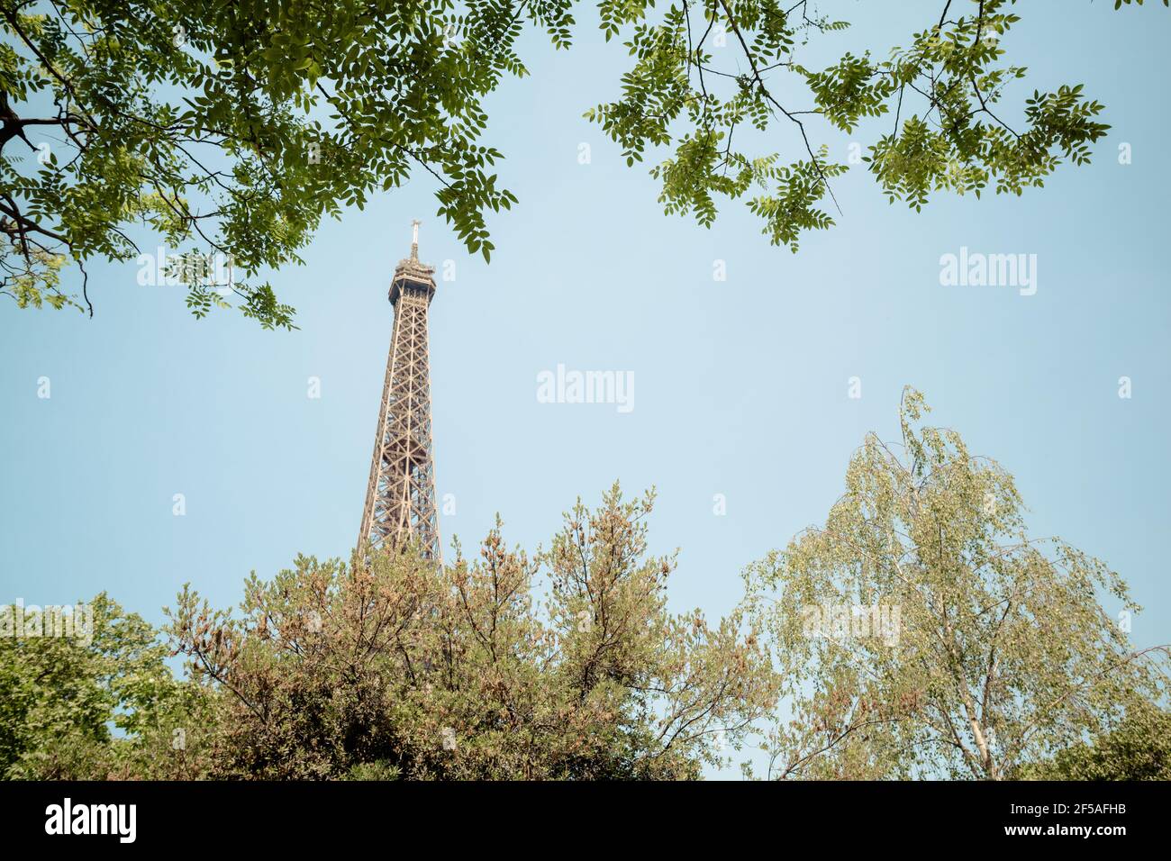 Eiffel tower seen through branches Stock Photo