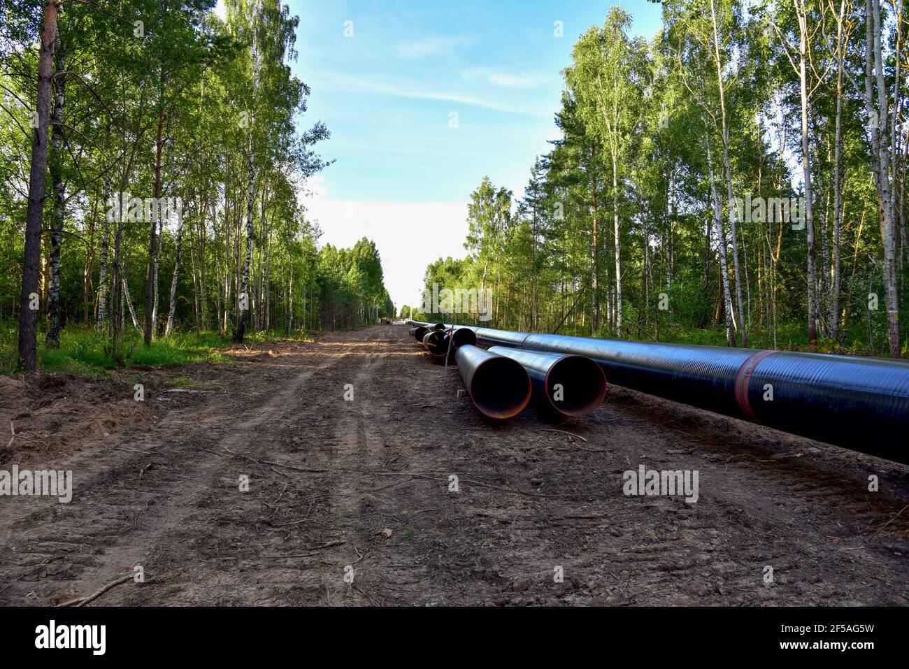 Crude oil and Natural gas pipeline construction work in forest area ...