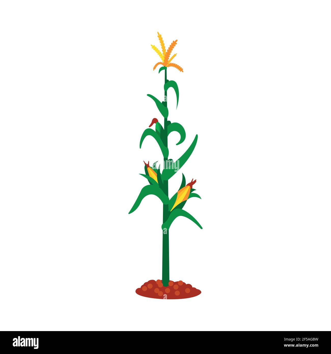 Corn, flat icon, organic logo, vector agriculture corncob farm Stock Vector