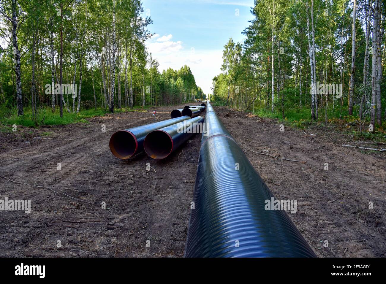 Crude oil and Natural gas pipeline construction work in forest area ...