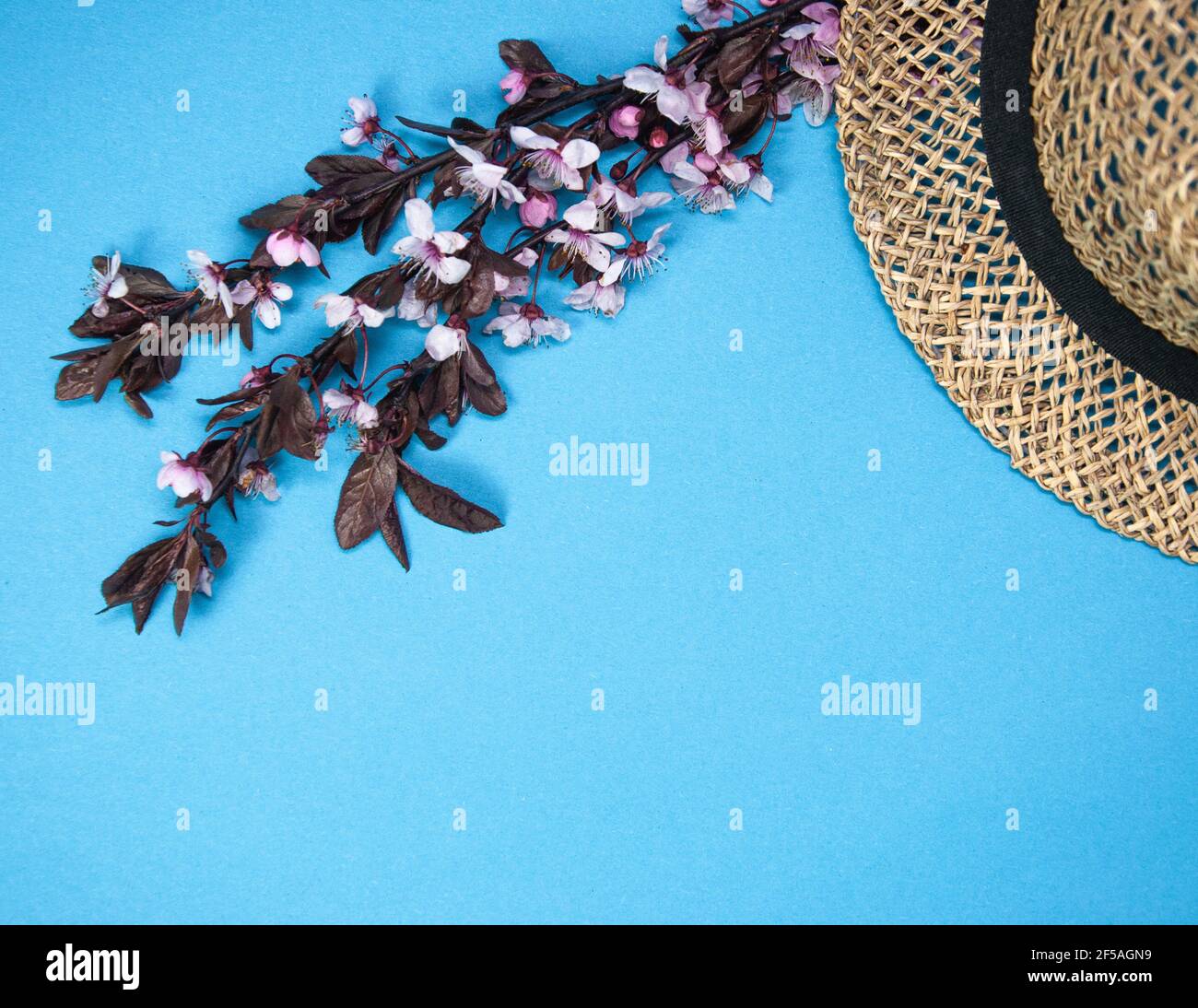 Spring Composition Creative spring composition made of cherry blossom tree branch with ...