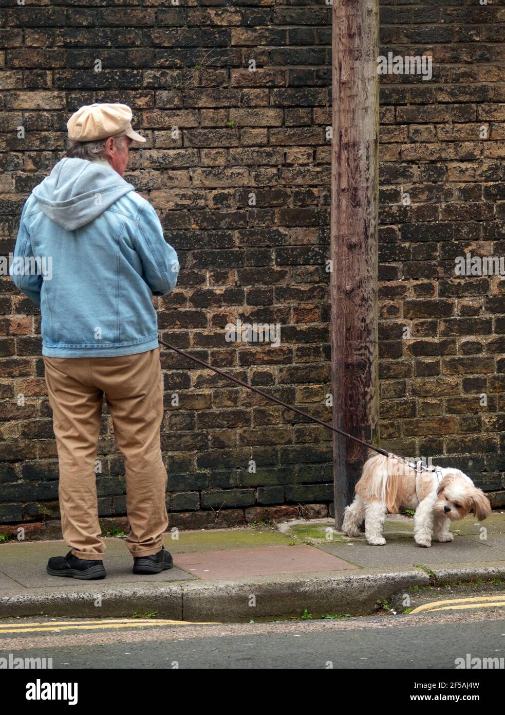 A dog reluctant to do as told on a Brighton street Stock Photo