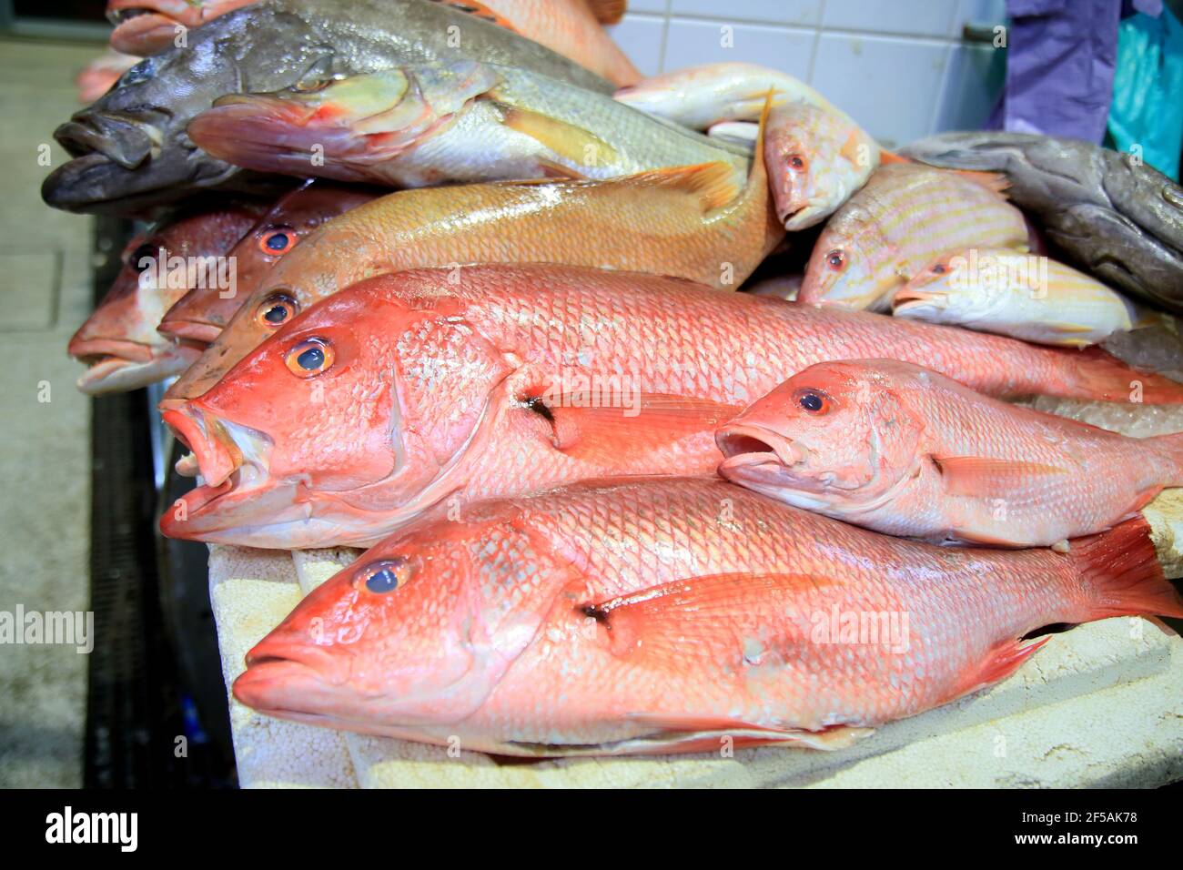 Salvador Bahia Brazil February 17 21 Fish Markets In The City Of Salvador During The Lent Period Stock Photo Alamy