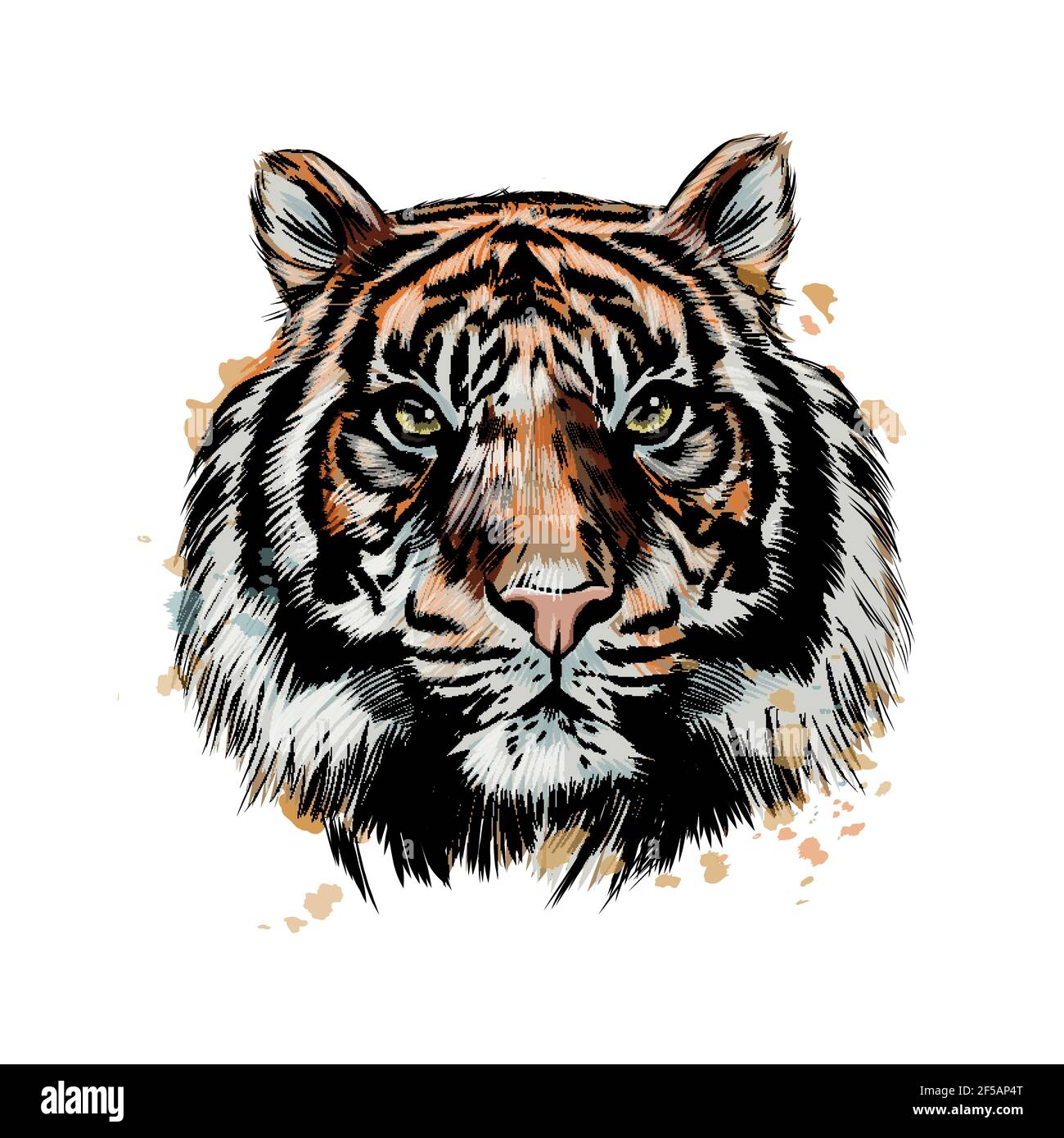 3D (The Canvas Arts) Temporary Tattoo Waterproof For Men Women Arm Hand (Angry  Tiger Tattoo) Size 21X15 cm : Amazon.in: Beauty