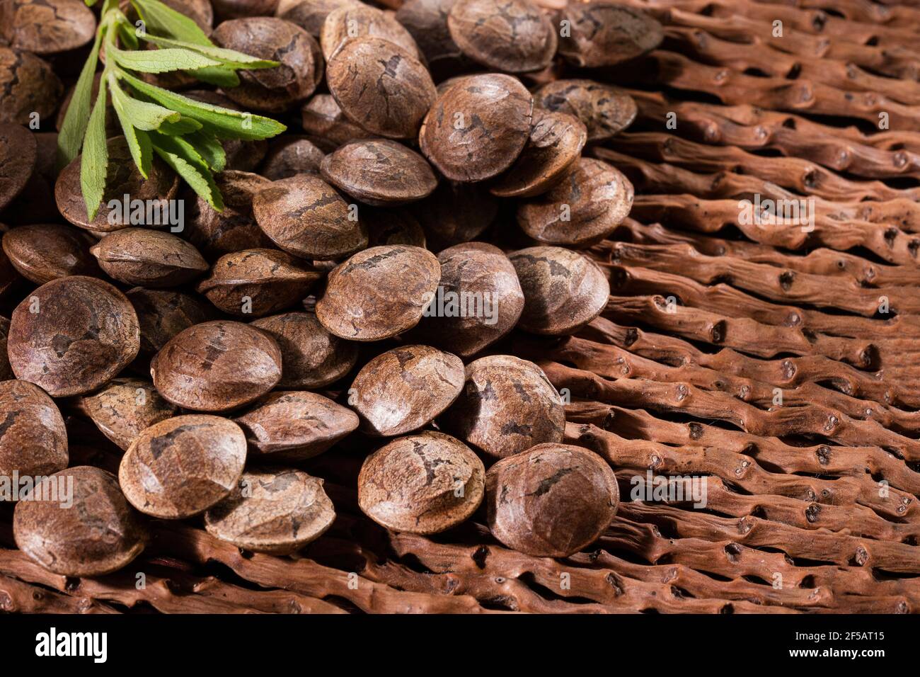 Inchi nuts hi-res stock photography and images - Alamy