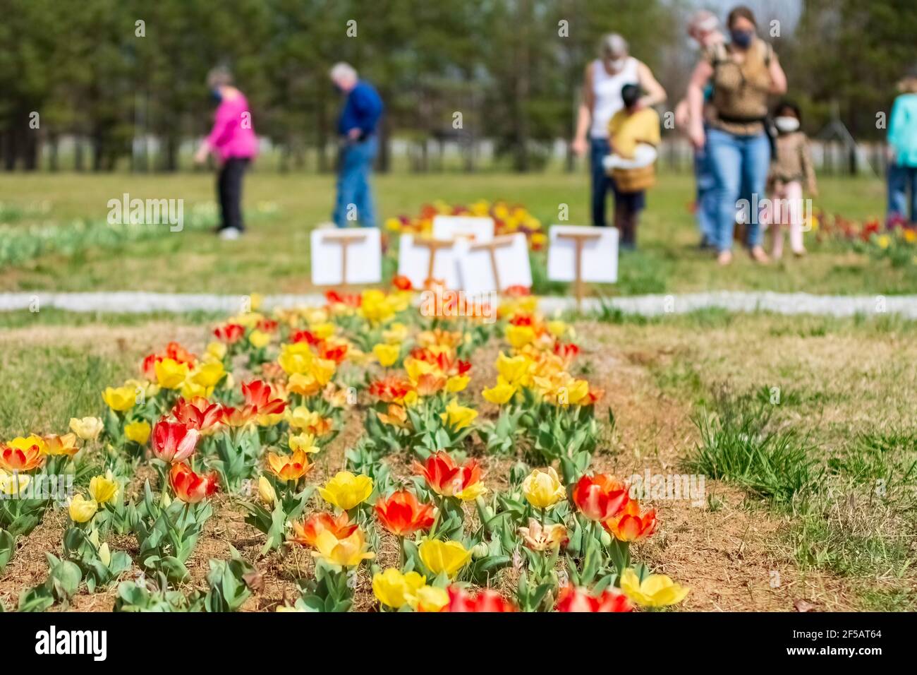 American village and alabama hires stock photography and images Alamy