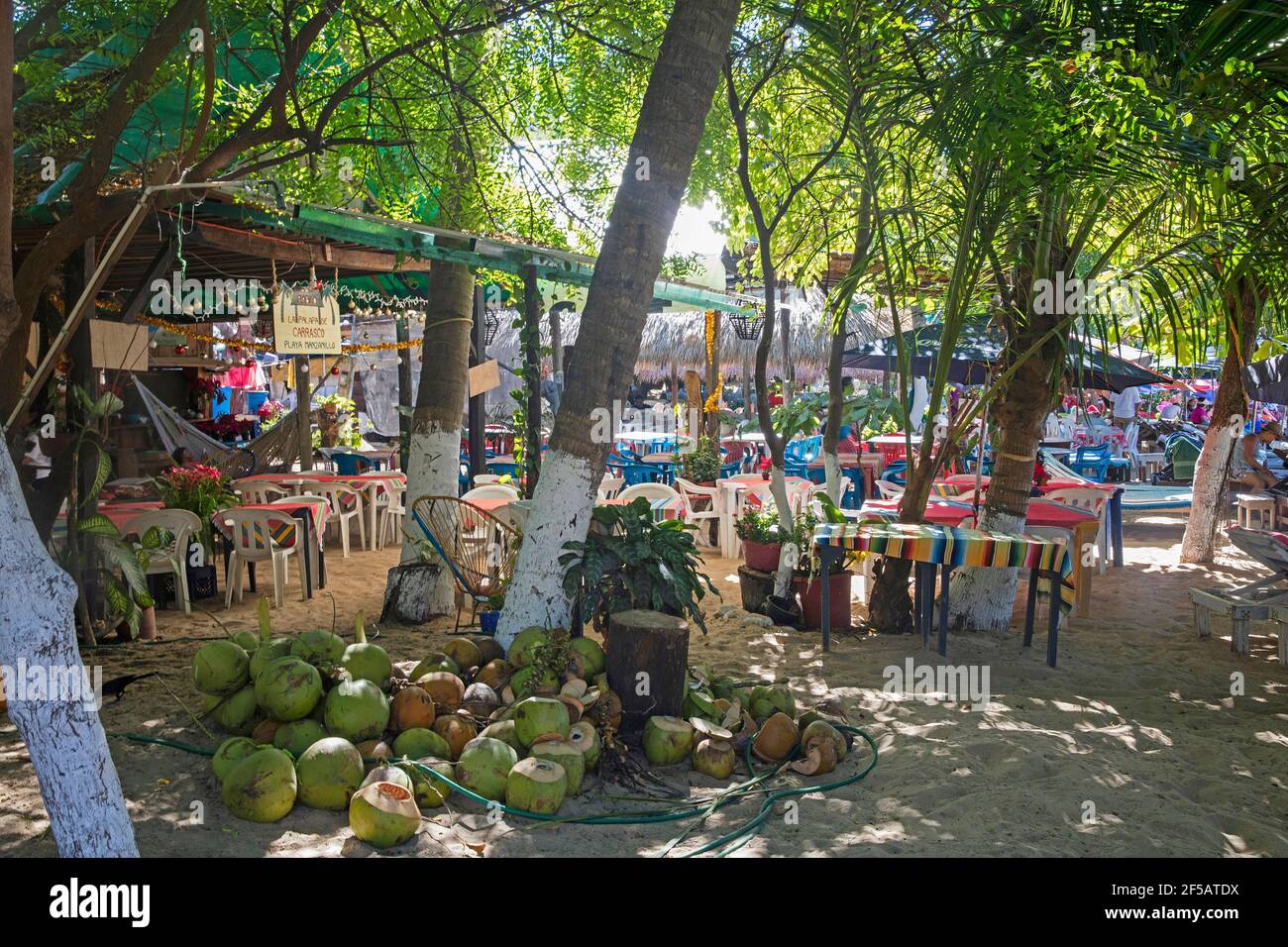 Pile of used coconuts from openair restaurant on sandy beach at Playa