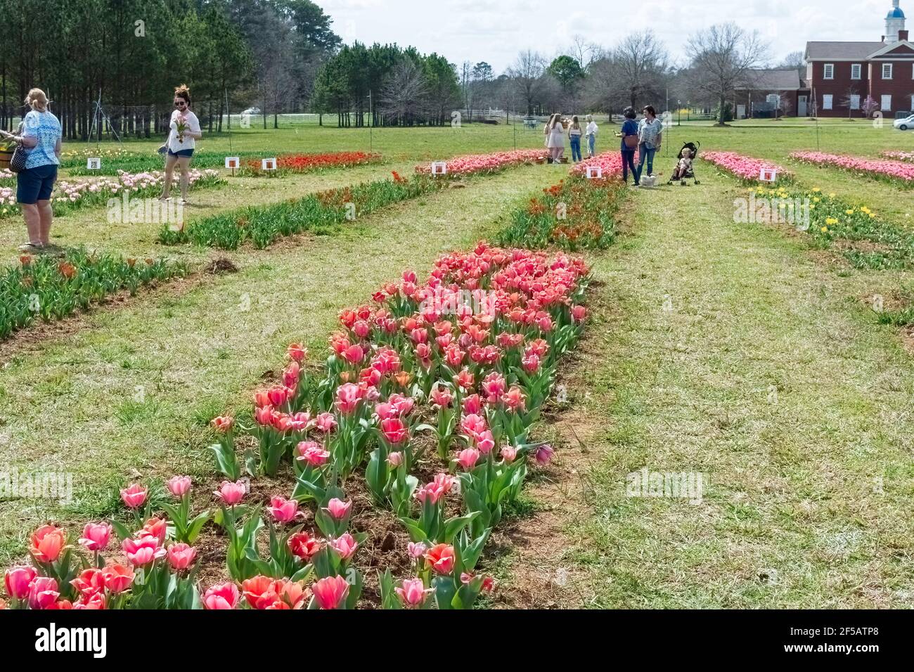 American Village And Alabama High Resolution Stock Photography and Images Alamy