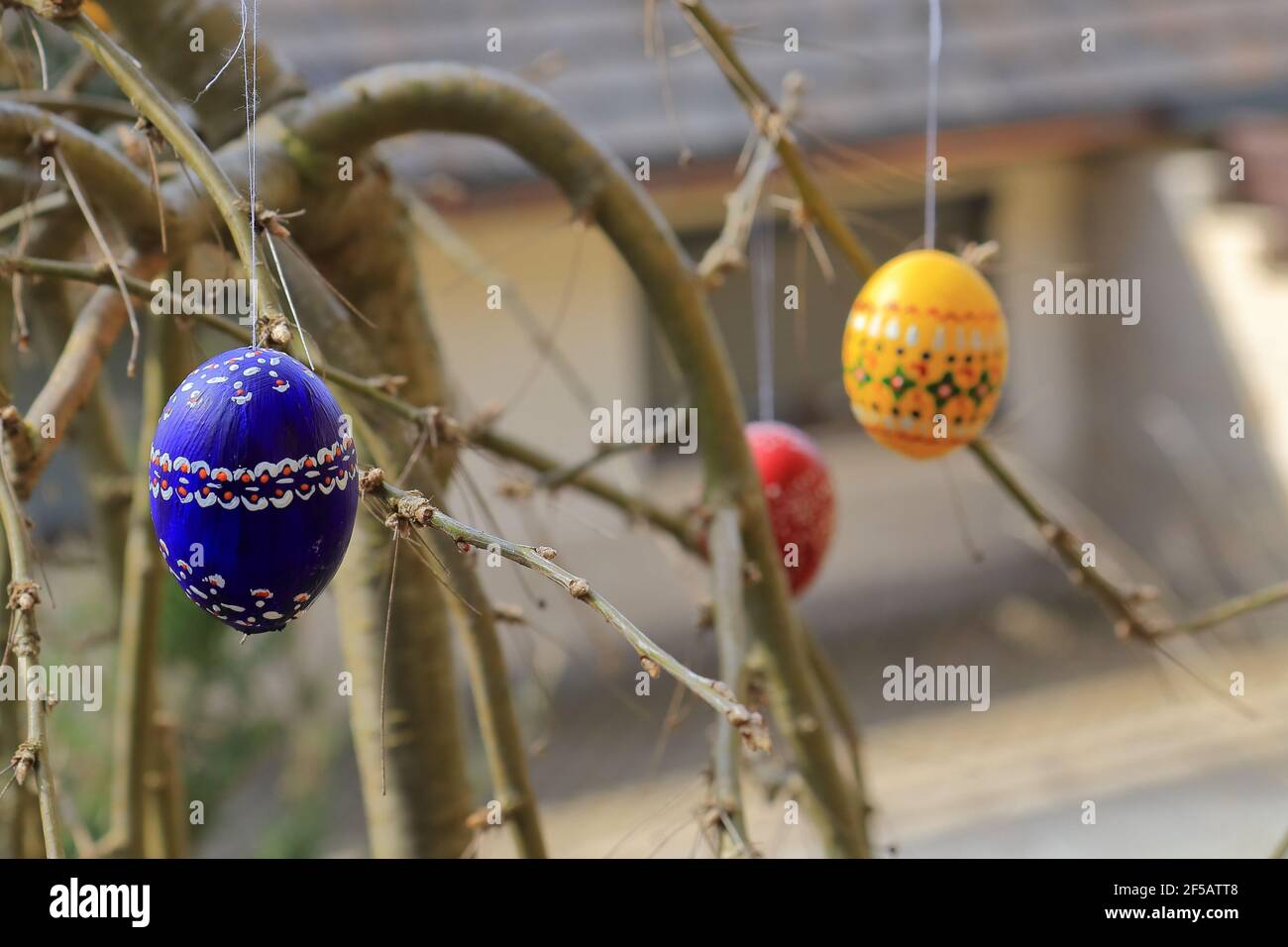 painted and colored easter eggs hanging on twigs Stock Photo