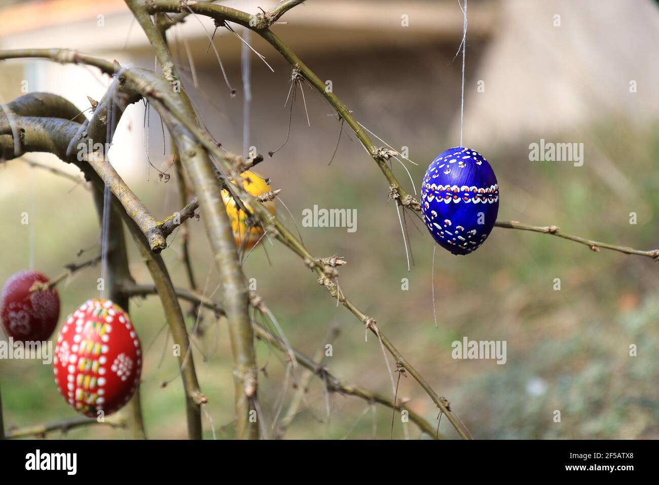 painted and colored easter eggs hanging on twigs Stock Photo