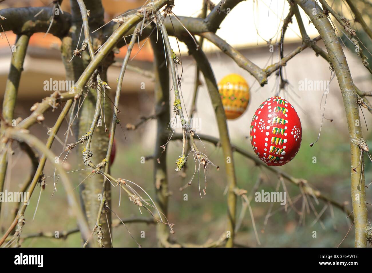 painted and colored easter eggs hanging on twigs Stock Photo