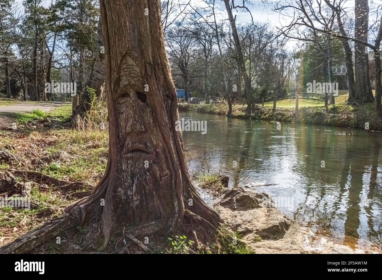 Montevallo, Alabama/USA-March 12: One of Orr Park's woodcarved faces by artist Tim Tingle in a tree next to Shoal Creek. Stock Photo