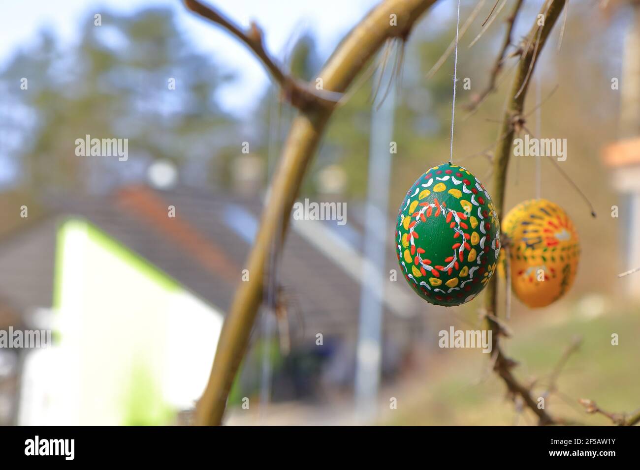 painted and colored easter eggs hanging on twigs Stock Photo