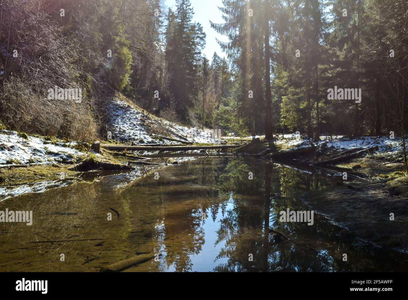 river in the forest with a perfect reflection like a mirror, which reflects the branches of trees and the blue sky. Trees have broken across the river Stock Photo