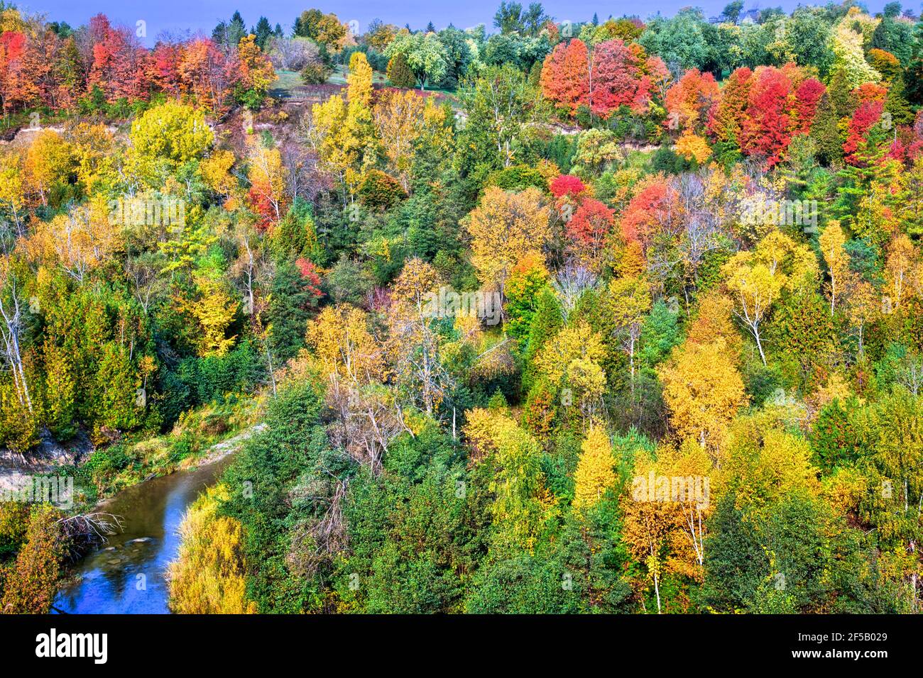 Aerial view of Rouge River Valley with autumn leaf color, Ontario