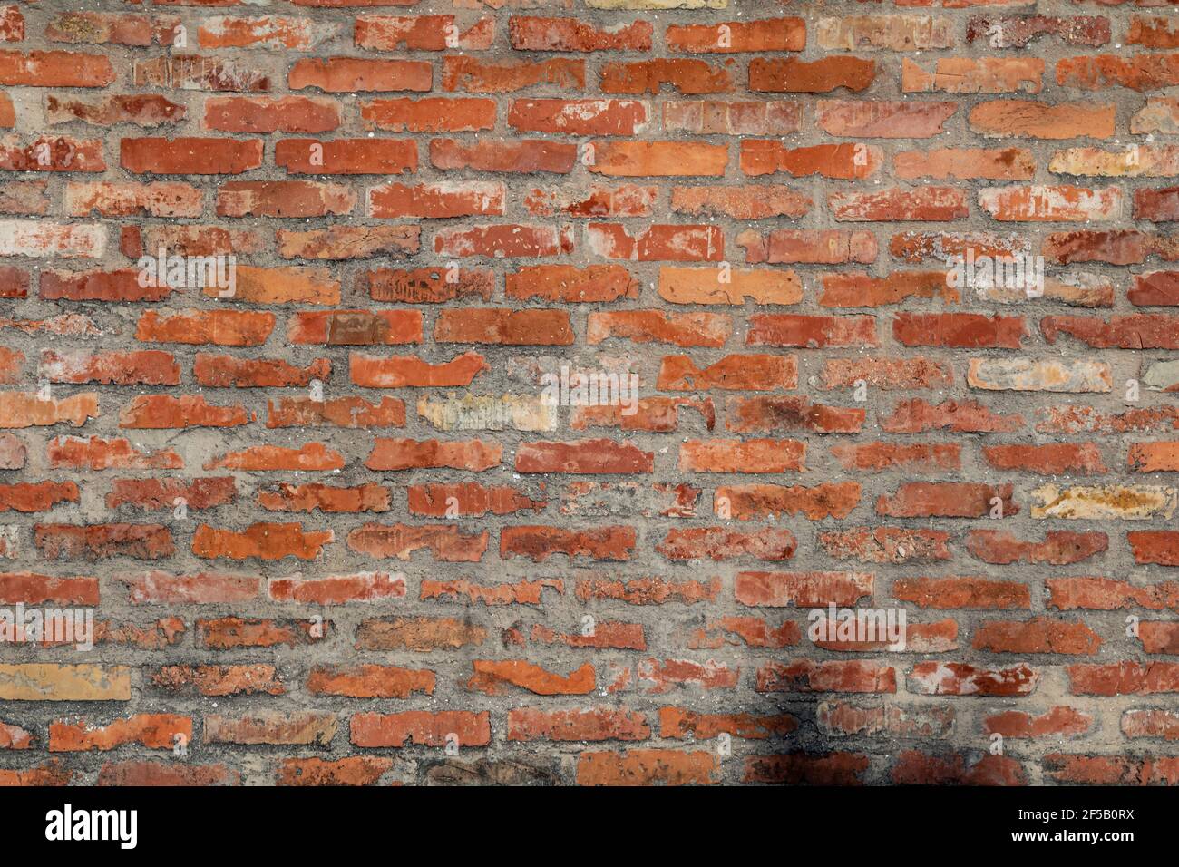 Old vintage brick wall background texture Stock Photo