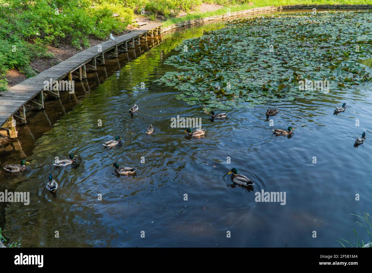 Ventspils city. Ventspils, Latvia. Stock Photo