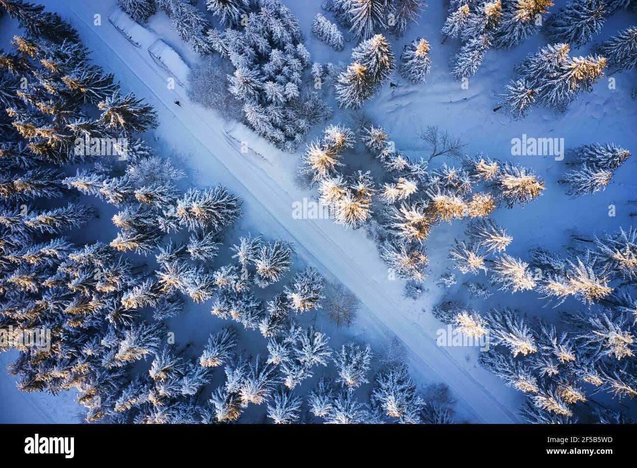 Luftaufnahme von Skilangläufern auf dem winterlichen Hohen Meißner Stock Photo