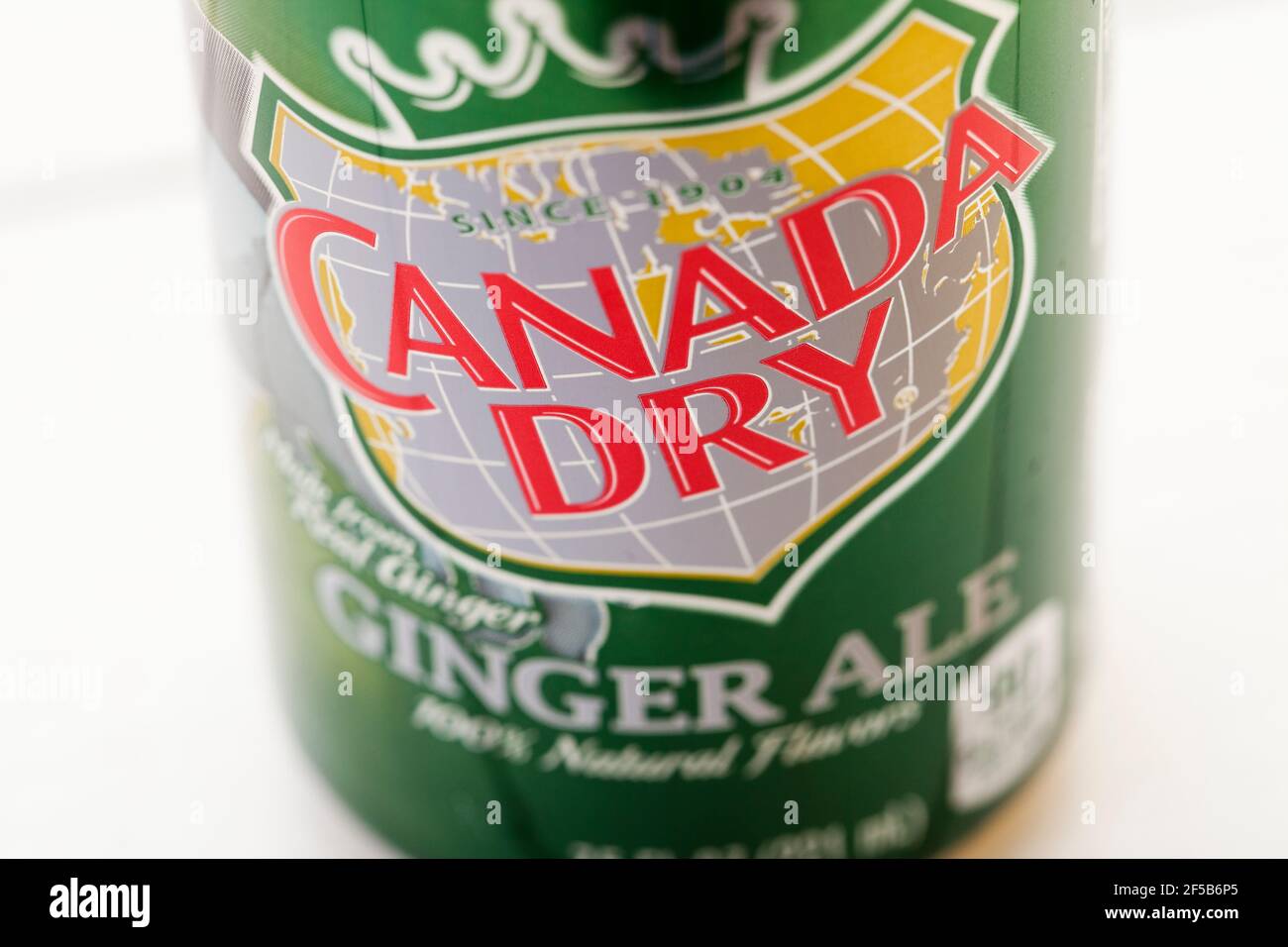 Is Ginger Ale Good For Dogs