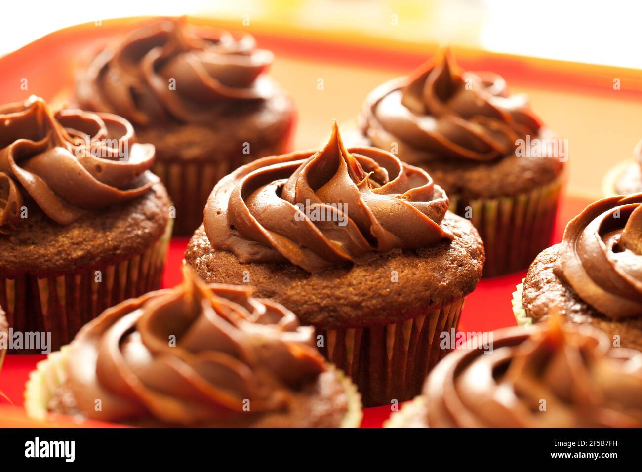 Homemade chocolate cupcakes Stock Photo