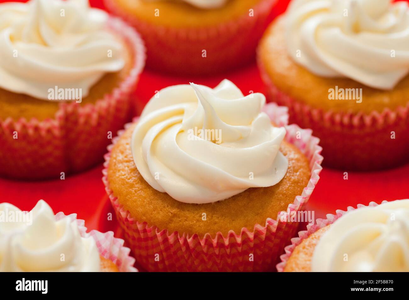 Homemade cupcakes with white frosting Stock Photo