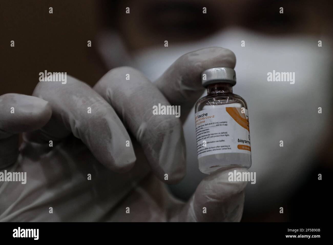 A healthcare worker holds a vial with a dose of Sinovac COVID-19 vaccine during a mass vaccination drive for the public sector workers at Geospatial Information Agency Office in Bogor.Indonesia is currently in the second phase of mass covid-19 vaccination. In this second phase, the Indonesian government targets 38.5 million people, including 16.9 million workers in public sectors and 21.6 million elderly citizens, as well as workers in hospitality, transportation, tourism sectors and mass media workers. Stock Photo