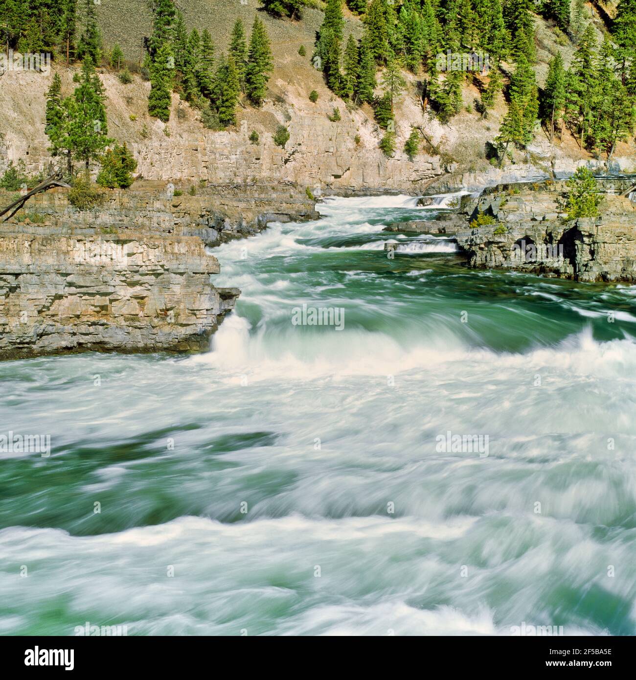 kootenai river rapids below kootenain falls near libby, montana Stock ...