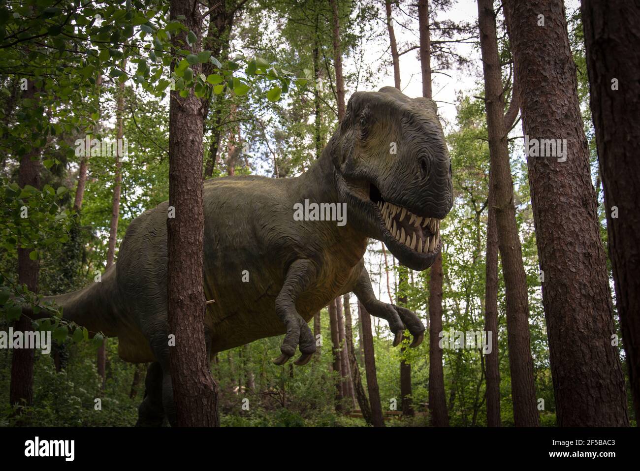 TRex coming out of the woods Lifesize model of a Tyrannosaurus Rex
