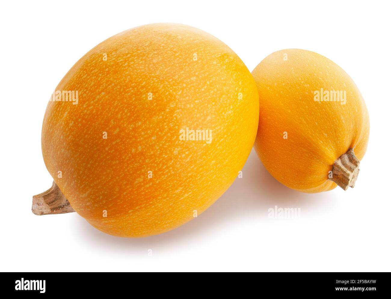 spaghetti squash path isolated on white Stock Photo
