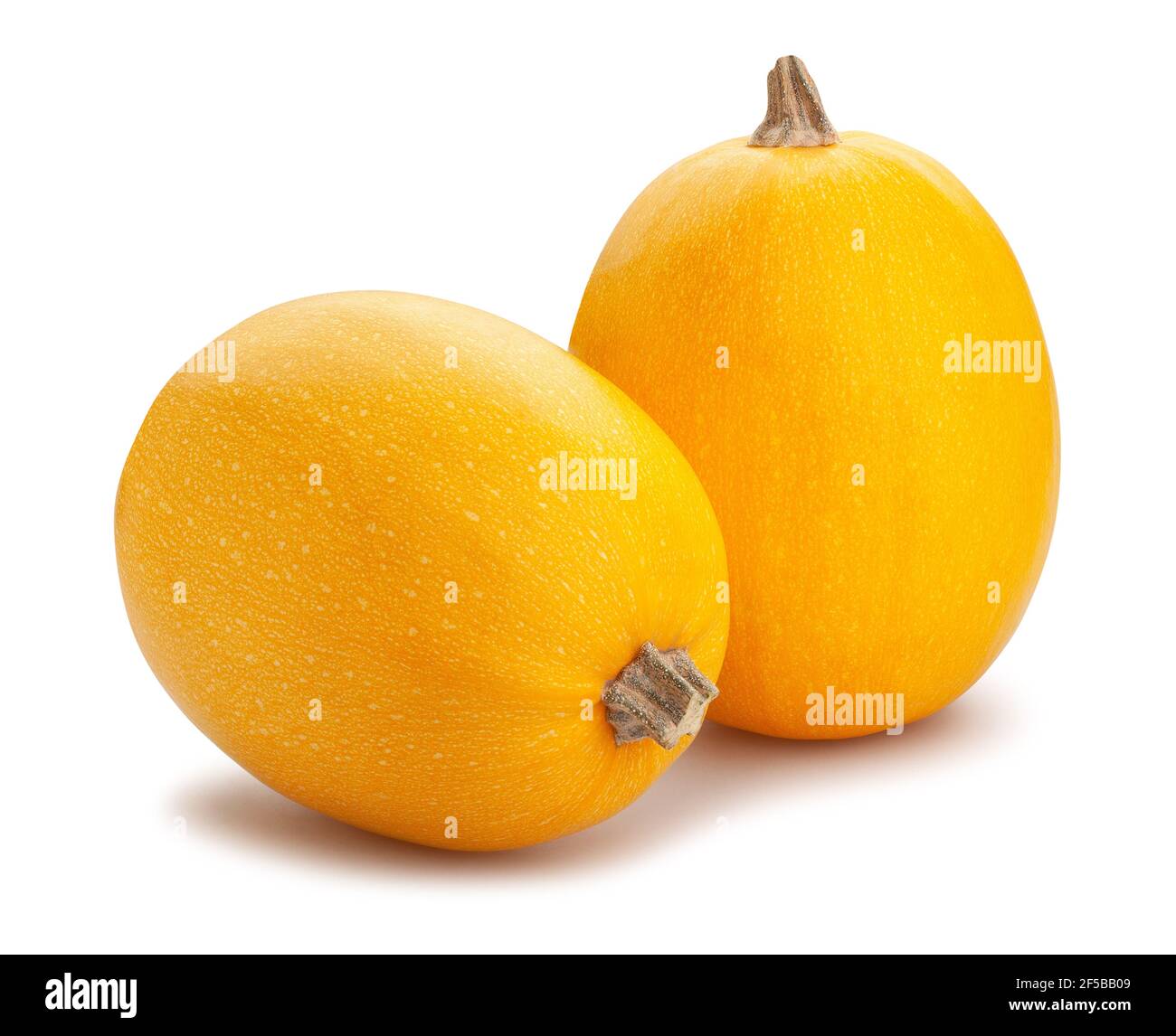 spaghetti squash path isolated on white Stock Photo