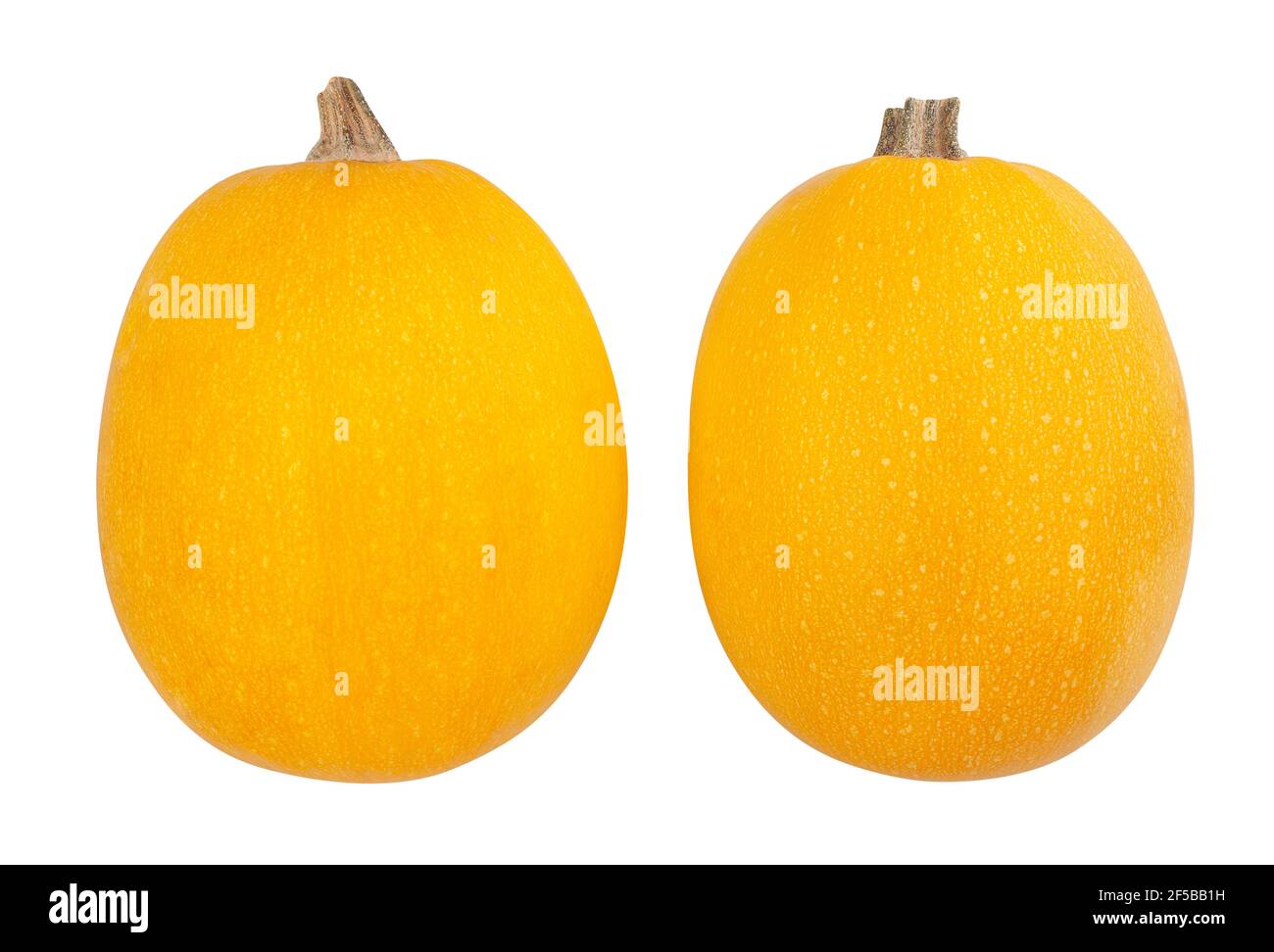 spaghetti squash path isolated on white Stock Photo