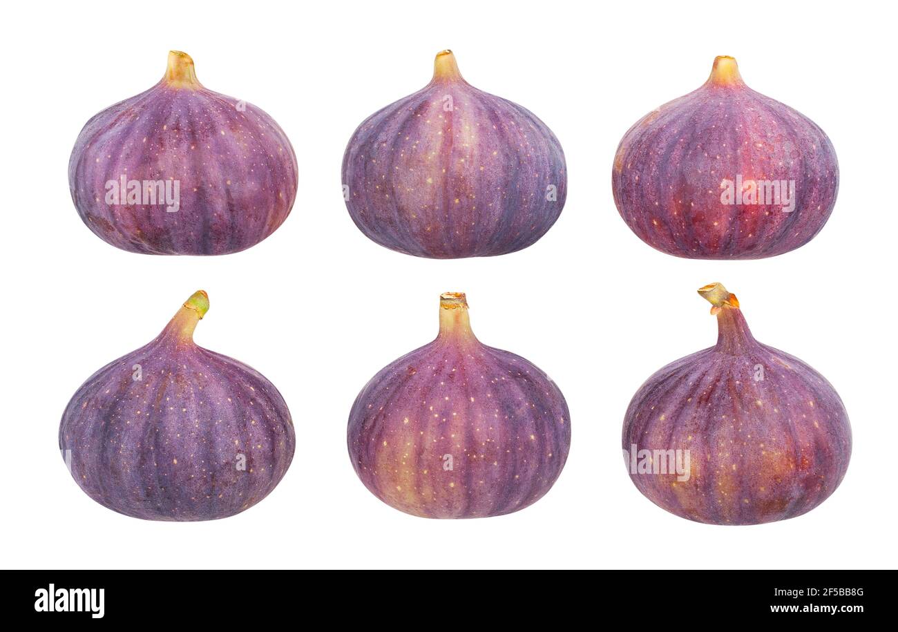 figs path isolated on white Stock Photo