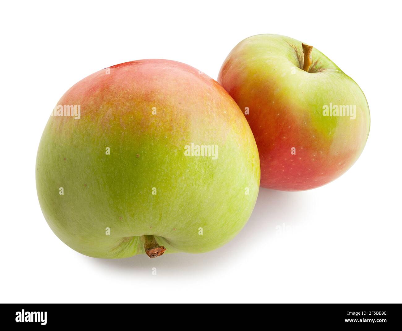 red green apple path isolated on white Stock Photo