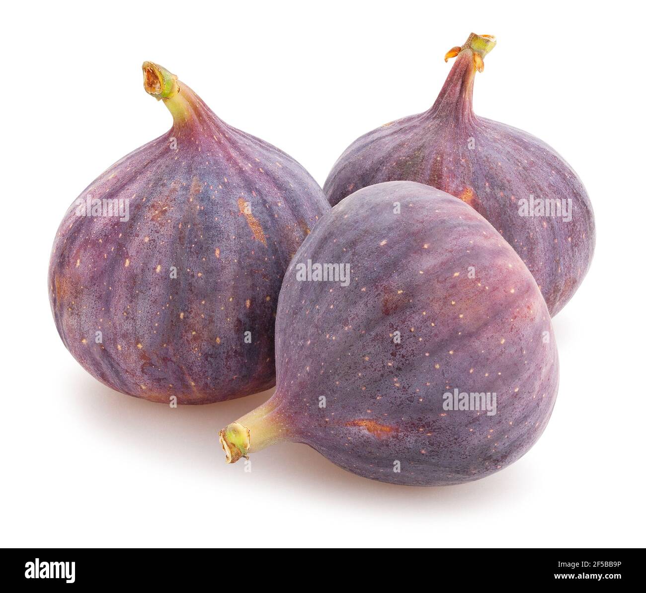 figs path isolated on white Stock Photo