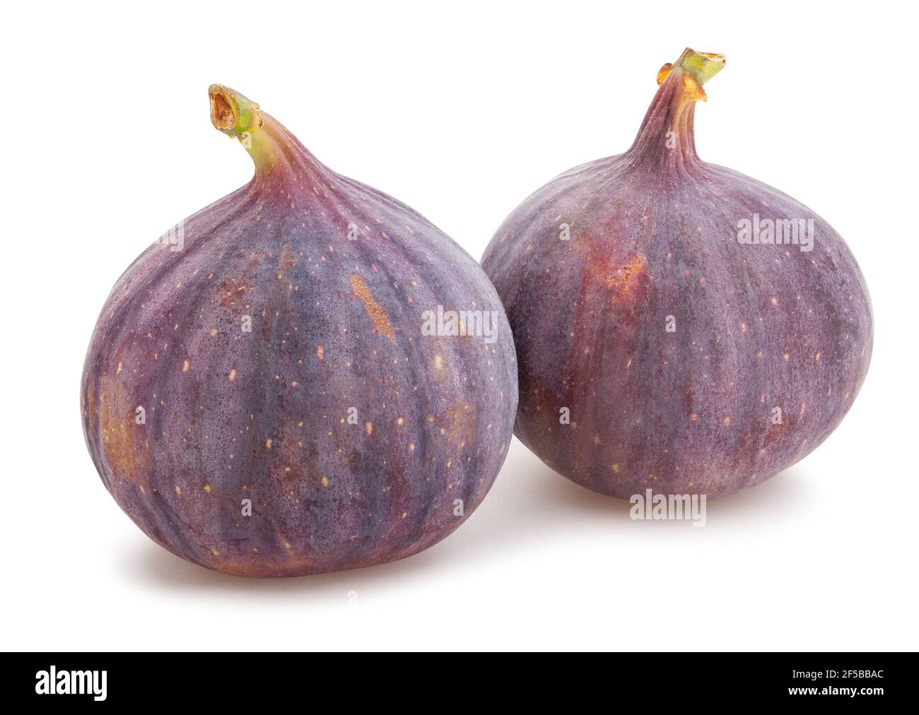 figs path isolated on white Stock Photo