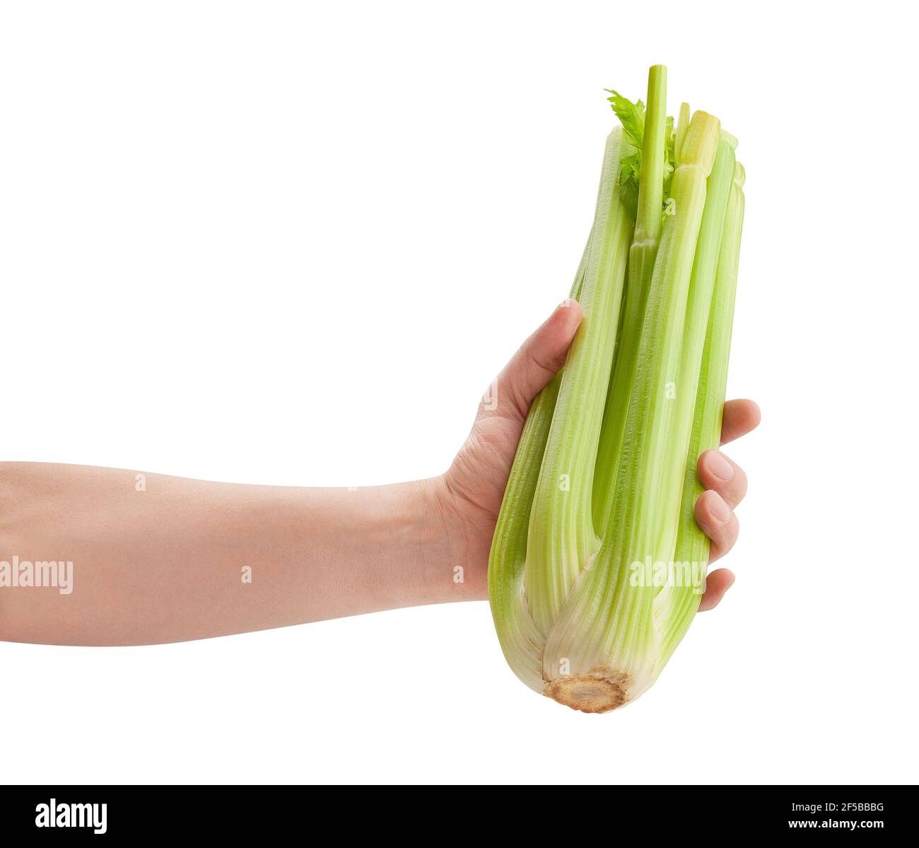 celery stalk in hand path isolated on white Stock Photo Alamy