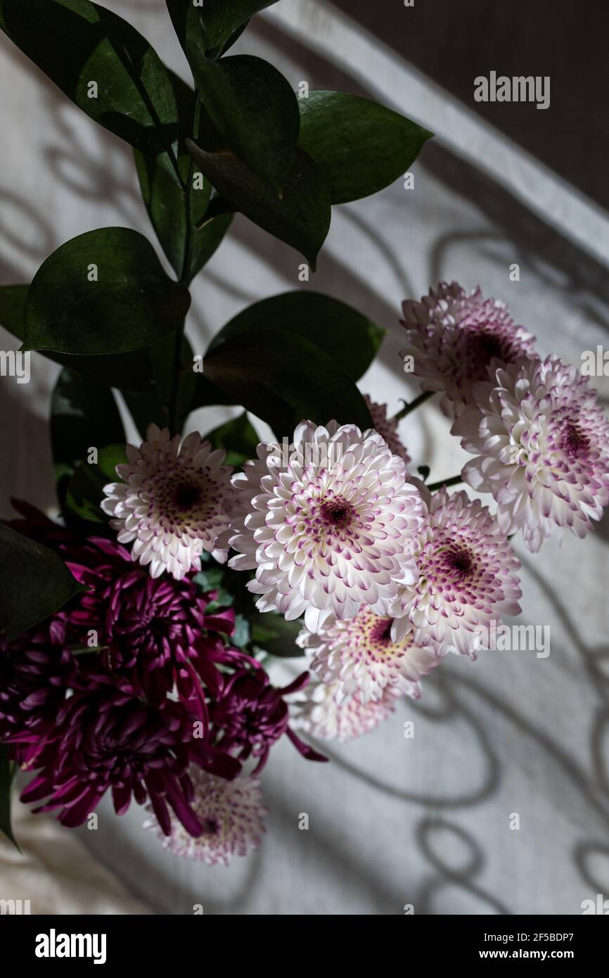 Harsh natural environment hi-res stock photography and images - Alamy