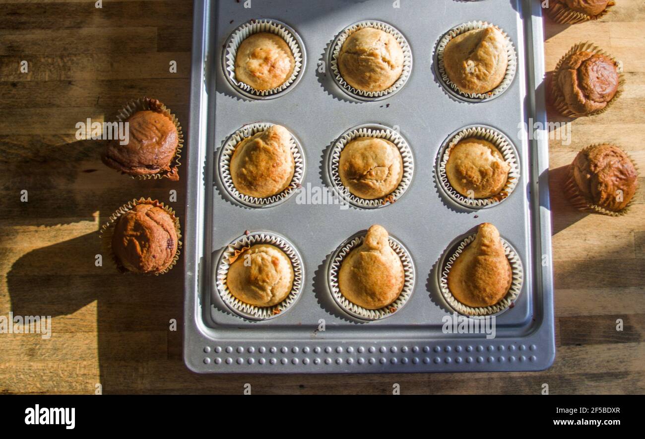 https://c8.alamy.com/comp/2F5BDXR/morning-sunlight-illuminates-small-cream-and-chocolate-muffins-hot-and-steaming-fresh-out-of-the-oven-ready-for-breakfast-2F5BDXR.jpg