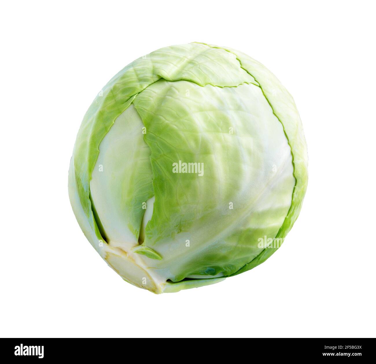 Cabbage isolated on white background. Whole fresh cabbage  with clipping path. Stock Photo