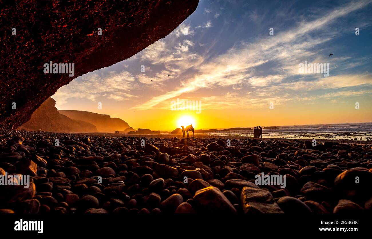 sunset sky over natural phenomenon stone arch bridge of Legzira Beach with dromedary camel in front of low sun, Atlantic ocean, Morocco Stock Photo